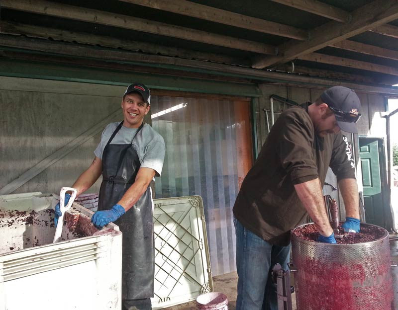 Dauntless Winemaker Update - 2015 Pinot Noir